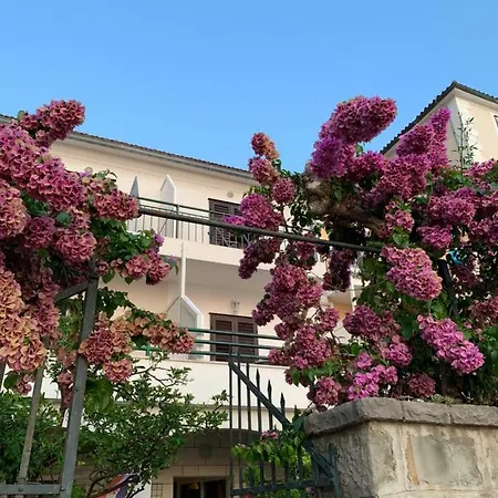 Apartment Irma